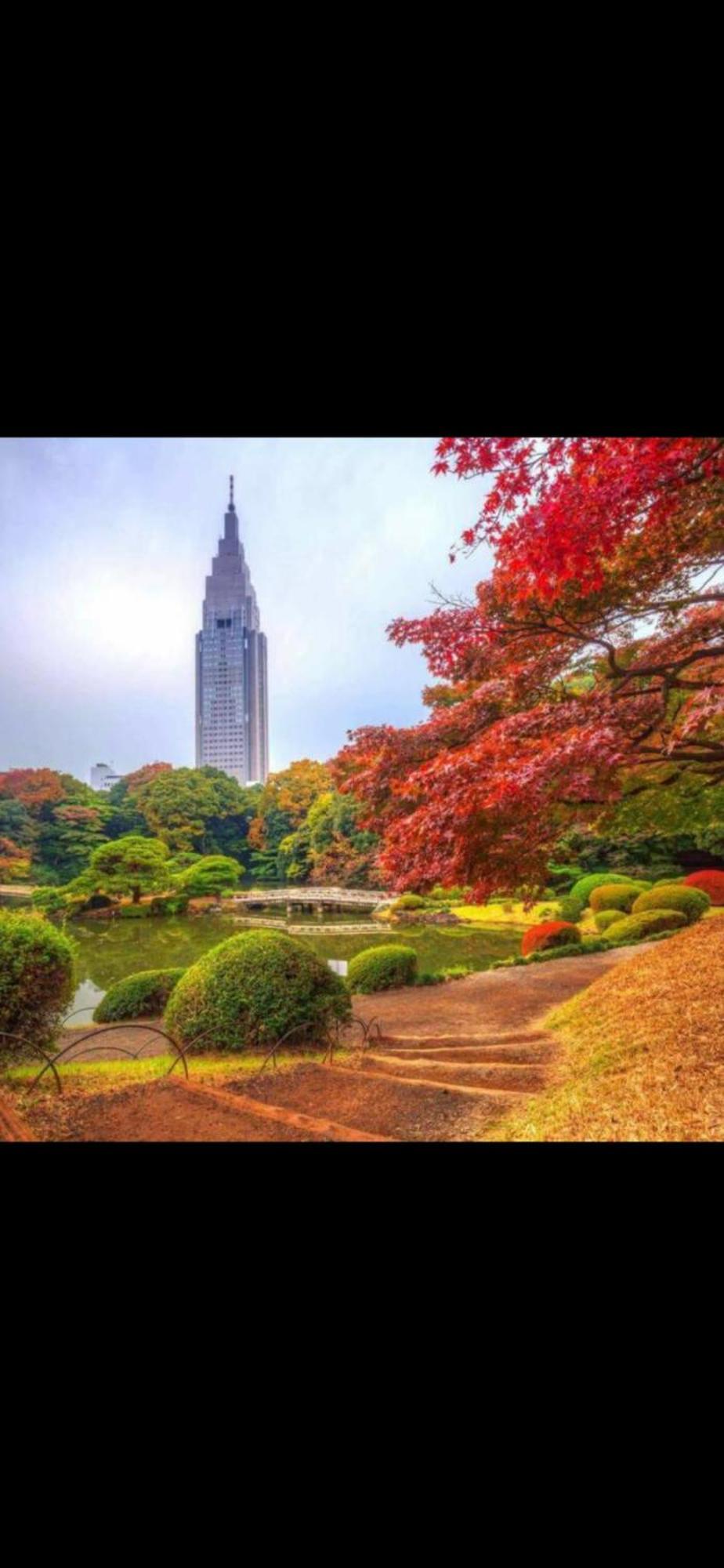 新宿庭院の屋-Shinjuku Garden Home -28 Square Meters King Size Bed Garden Room Präfektur Tokio Exterior foto