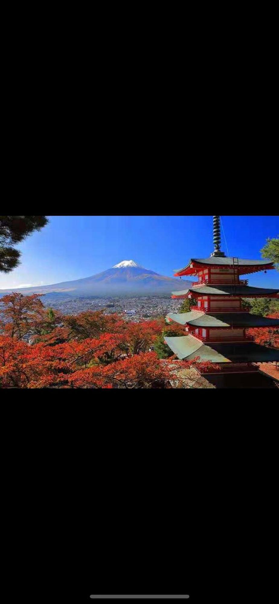 新宿庭院の屋-Shinjuku Garden Home -28 Square Meters King Size Bed Garden Room Präfektur Tokio Exterior foto